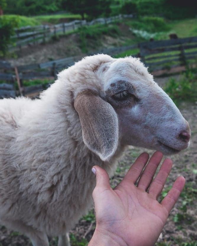 Farm Stay Synergia - Hiden Treasure Pazin Dış mekan fotoğraf