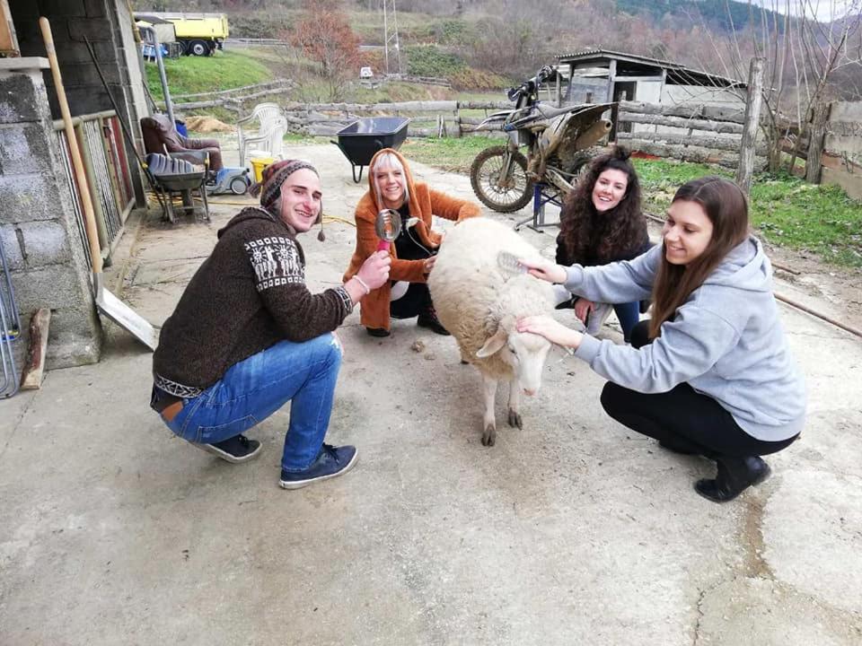 Farm Stay Synergia - Hiden Treasure Pazin Dış mekan fotoğraf