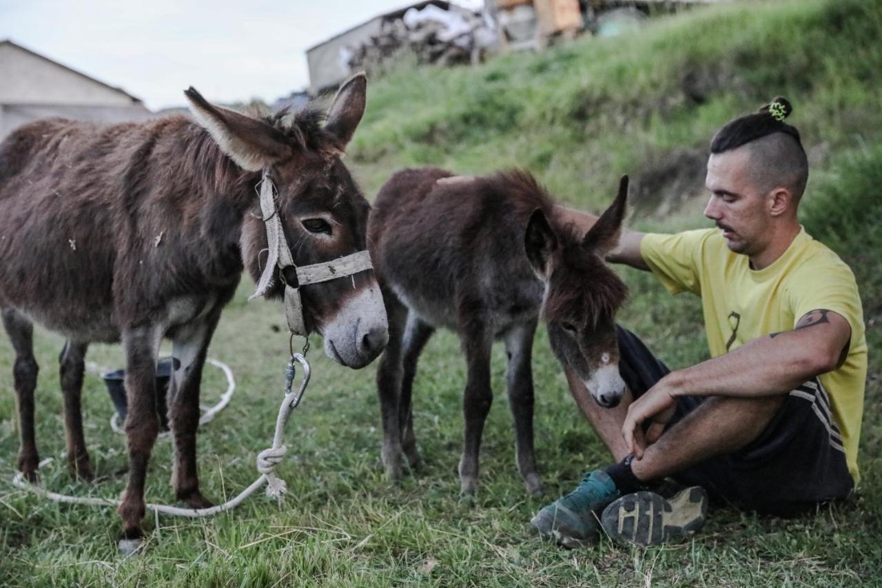 Farm Stay Synergia - Hiden Treasure Pazin Dış mekan fotoğraf